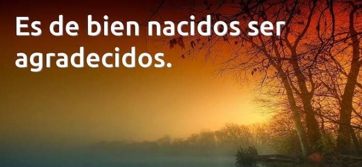 Bien Agradecidos.