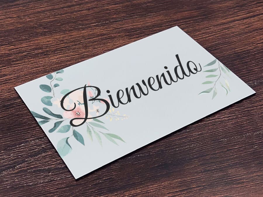 Bienvenida