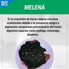 APUNTE D SALUD. Heces Negras.